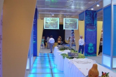 Exhibitions3