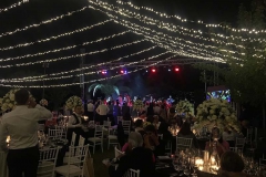 Weddings6